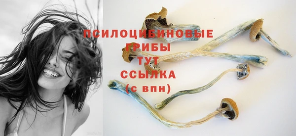 PSILOCYBIN Алексин