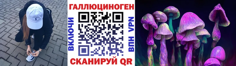Галлюциногенные грибы Cubensis  гидра онион  Междуреченск  даркнет сайт 